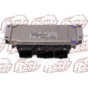 CENTRALITA  MOTOR ECU 0217-CITROEN-PICASO-16G-0261206633
