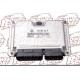 CENTRALITA ECU MOTOR 0362-VW-POLO-07-14TDI-0281012194